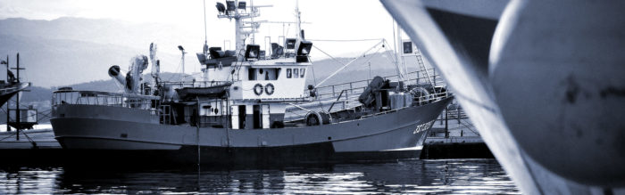 nuevo-libe-pescadores-conservas-santona-slide4